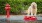 a dog standing on a red fire hydrant