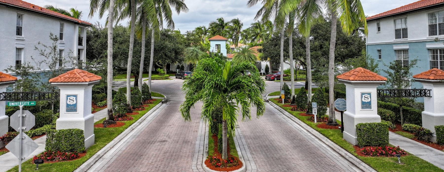 a street with palm trees and buildings