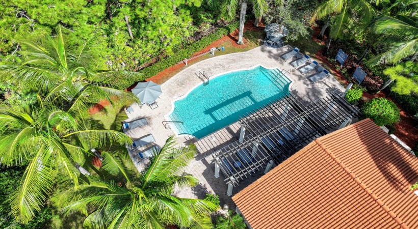 a swimming pool surrounded by trees
