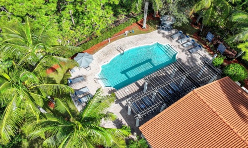 a swimming pool surrounded by trees