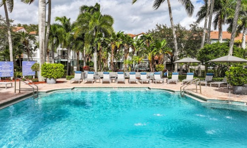 a pool with chairs and umbrellas by it