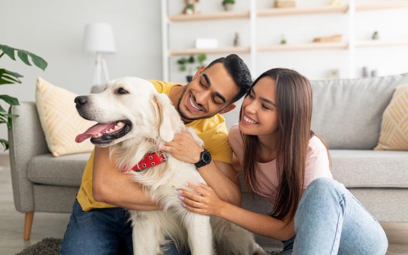 a man and woman holding a dog