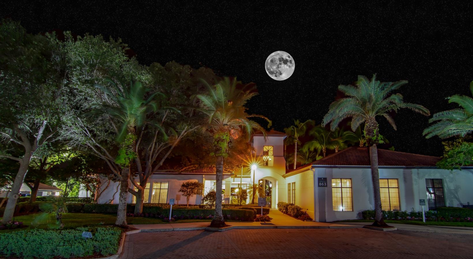 The essence of exceptional living a building with palm trees and a moon in the sky