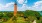 a lighthouse surrounded by trees and bushes