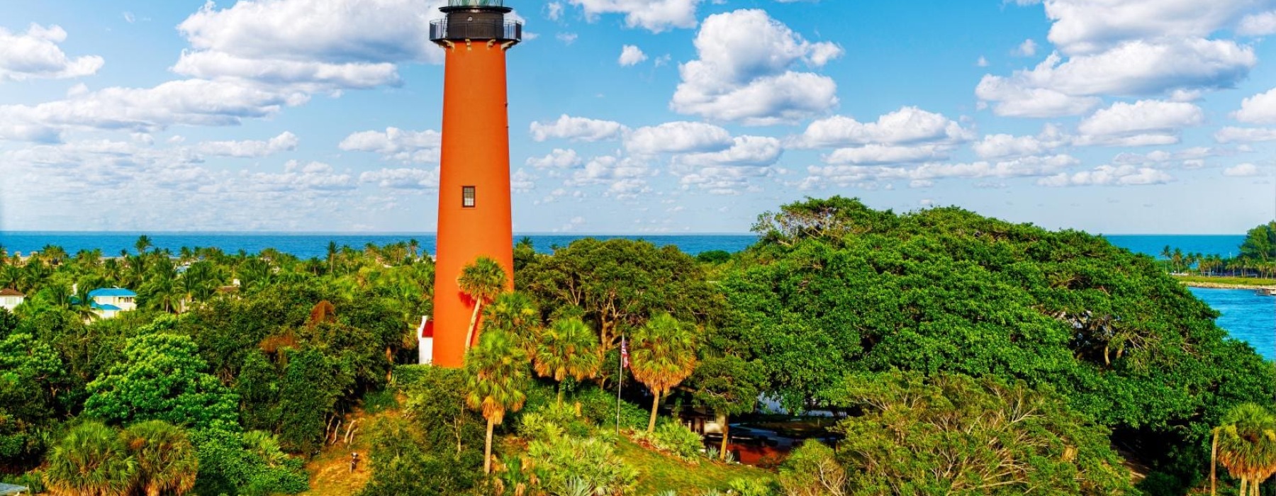 a lighthouse surrounded by trees and bushes