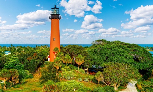 a lighthouse surrounded by trees and bushes